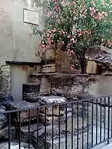 Vestiges romains de l'ancien forum d'Avignon