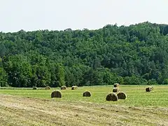 La vallée du Caudeau à Veyrines-de-Vergt.
