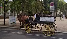 Calèche stationnée rue du Casino