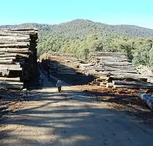 Coupes de bois, Central highlands, Victoria : à 50 km au nord-est de Melbourne, où quelques spécimens de Gymnobelideus leadbeateri, espèce d'opossum supposée disparue depuis 1900, redécouverte en 1960. La surexploitation permise par les routes, peut aussi dégrader les capacités de puits de carbone et stock de carbone du sol forestier.