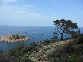 Dentelle de Cap Camarat.