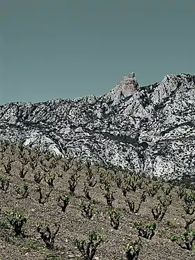 Image illustrative de l’article Maury (AOC)