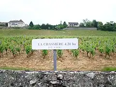 Le mercurey premier cru « La Chassière », à Saint-Martin-sous-Montaigu.