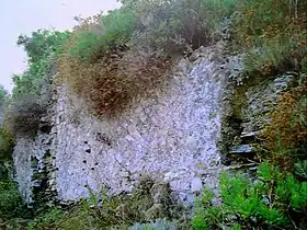 Image illustrative de l’article Villa romaine de Capo Castello