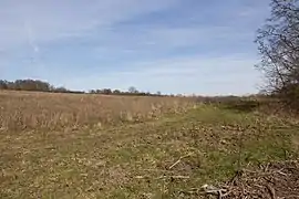 Vue d'un espace agricole en friche