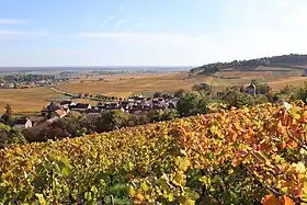 Image illustrative de l’article Chambolle-musigny
