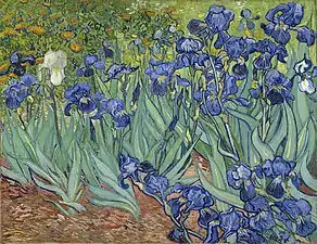 Vincent van Gogh, Iris, 1889.