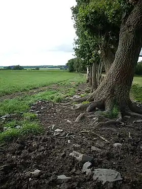 Mande-Saint-Étienne