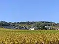 Volnay en automne.