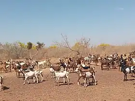 Dioundiou (département)