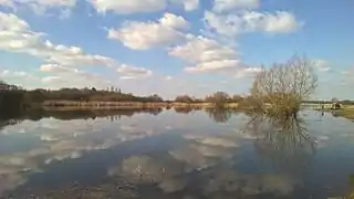 Étang aval « Adrien Menereau ».