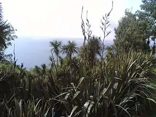 La côte près de Khelvatchaouri en Adjarie, 2006.