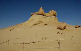 Image illustrative de l’article Ouadi Al-Hitan