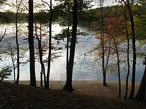L'étang de Walden en octobre. Quelques arbres aux feuilles jaunies ou rougies apparaissent devant une perspective de l'étang de Walden.