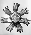 Walter Castor (en), 1928, un moteur de 7 cylindres pour un avion