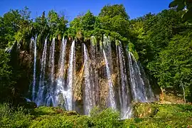 Chutes Veliki prštavac dans le parc. Juillet 2018.
