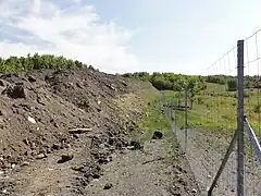 Terril no 166 dit  Blignières Est