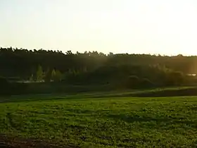 Wielka Wieś (Stęszew)