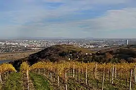 Vue du Burgstall depuis l'Eisernen Hand.