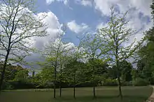 Verger de Mirbach Wäldchen