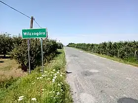 Wilczogóra (Grójec)