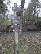 Le GR121B dans la base des 6 Bonniers de Willems.