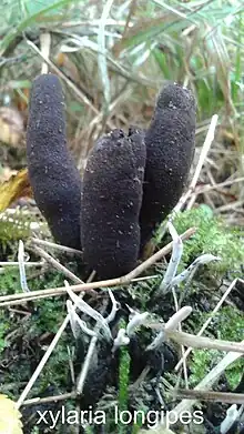 lieu, nord pas de calais