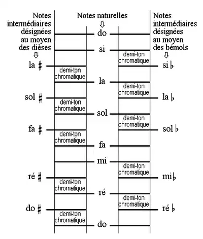 Echelle diatonique et notes intermédiaires