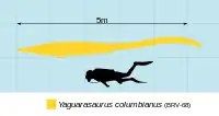 Comparaison en taille de Yaguarasaurus (en jaune) avec un humain (en noir).