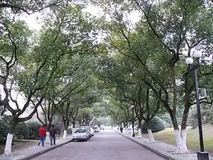 Vue du campus de Yuquan.
