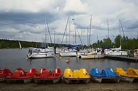 Bronisławów (Piotrków)