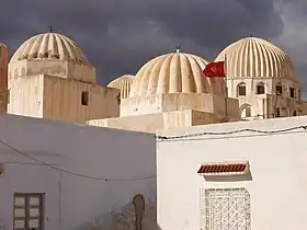 Coupoles du mausolée Sidi Amor Abbada.