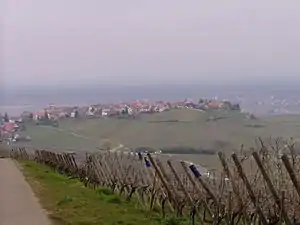Les vignobles autour de Zellenberg.