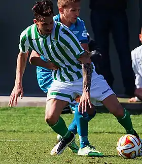 Image illustrative de l’article Vincenzo Rennella