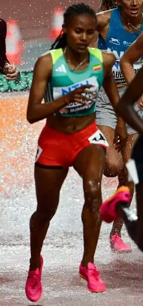 Image illustrative de l’article Zerfe Wondemagegn