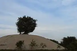 Le palais souterrain