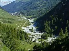 Cours d'eau étalé sur une plaine verdoyante.