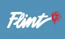 Drapeau de Flint