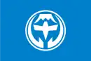 Drapeau de Narusawa-mura