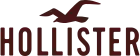 logo de Hollister (entreprise)
