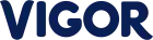 logo de Vigor