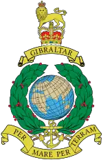 Image illustrative de l’article Royal Marines Reserve