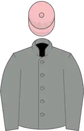 Image illustrative de l’article Sagamix