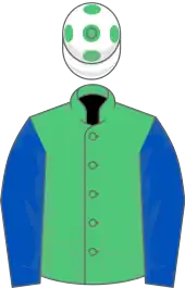 Image illustrative de l’article Caerleon (cheval)