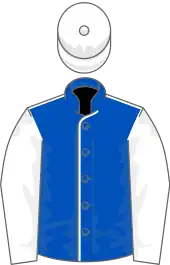 Image illustrative de l’article Gold River (cheval)