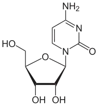 Image illustrative de l’article Cytidine