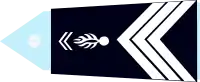Image illustrative de l’article Maréchal des logis-chef (Gendarmerie française)