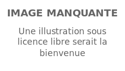 Image illustrative de l’article Stéphane Lippert