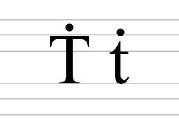 Image illustrative de l’article Ṫ
