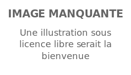 Image illustrative de l’article Sandra Wu